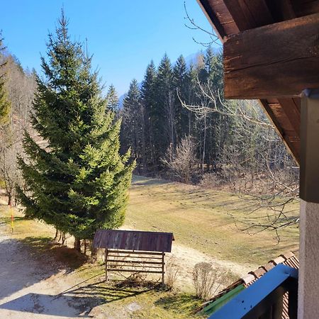 Apartment Dobnikar Kranjska Gora Exteriör bild