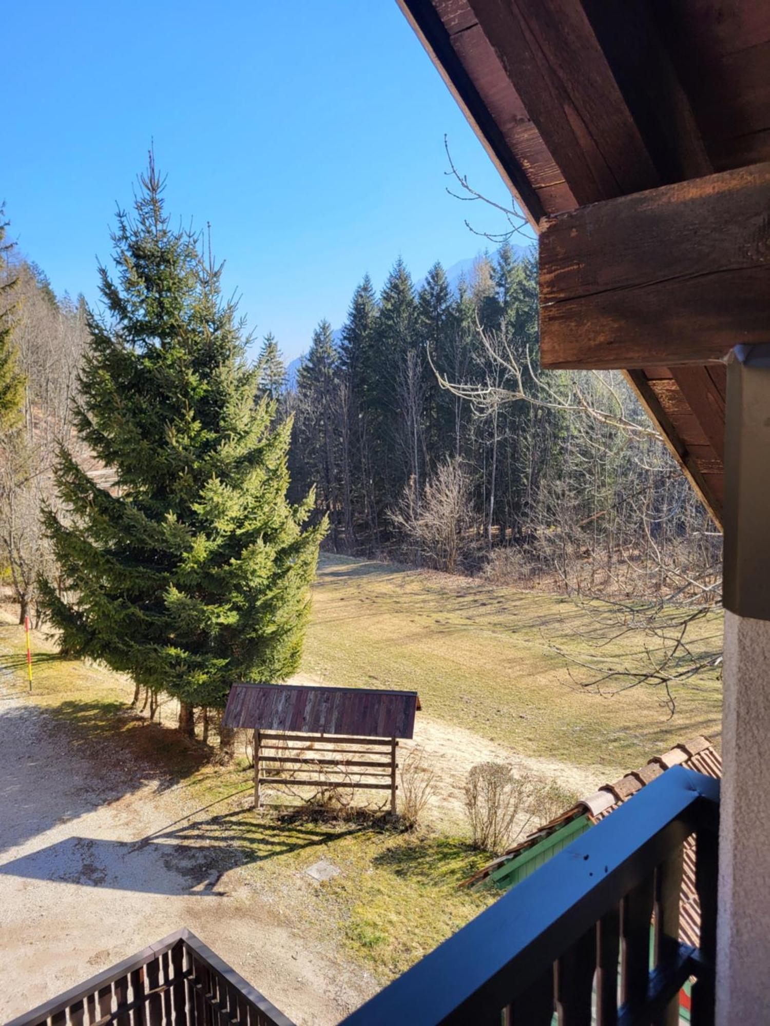 Apartment Dobnikar Kranjska Gora Exteriör bild